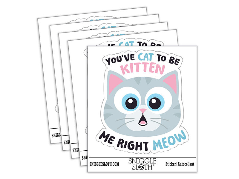 You've Cat To Be Kitten Me Right Meow