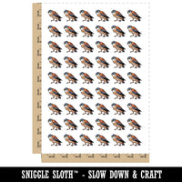 American Kestrel Falcon Bird of Prey Temporary Tattoo Water Resistant Fake Body Art Set Collection (1 Sheet)