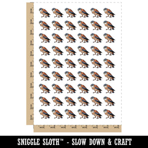 American Kestrel Falcon Bird of Prey Temporary Tattoo Water Resistant Fake Body Art Set Collection (1 Sheet)