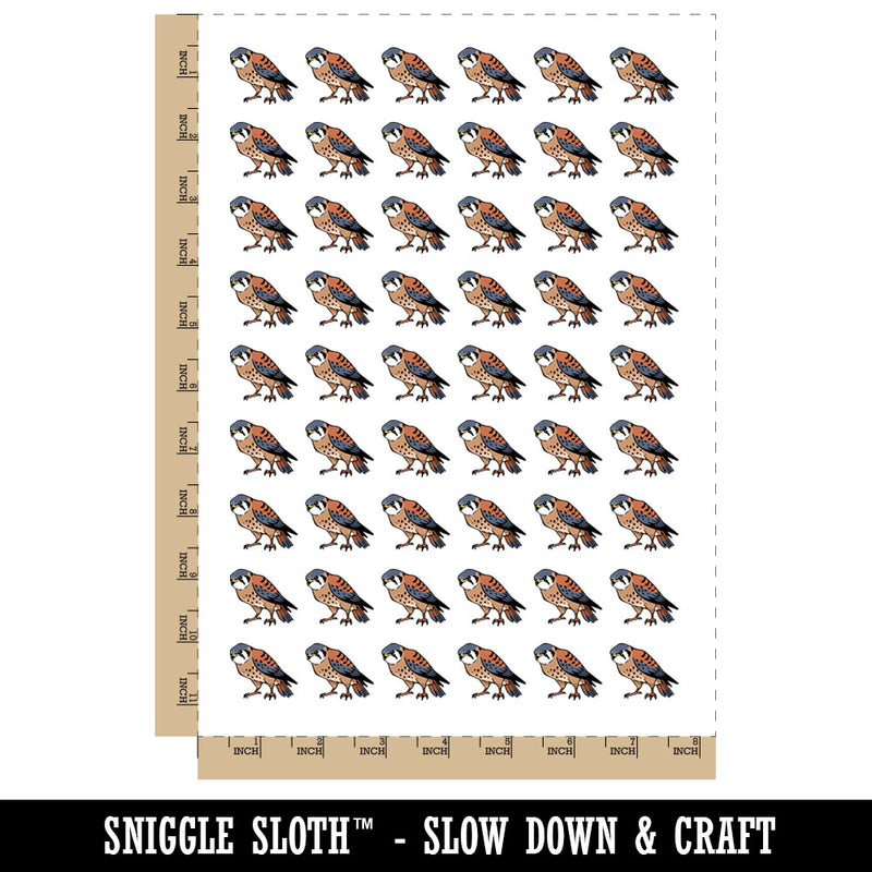 American Kestrel Falcon Bird of Prey Temporary Tattoo Water Resistant Fake Body Art Set Collection (1 Sheet)