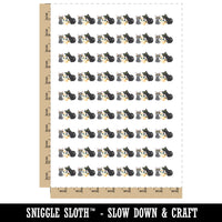Clowder of Curious Cats Temporary Tattoo Water Resistant Fake Body Art Set Collection (1 Sheet)