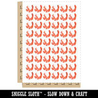 Headless Cooked Cocktail Shrimp Prawn Temporary Tattoo Water Resistant Fake Body Art Set Collection (1 Sheet)