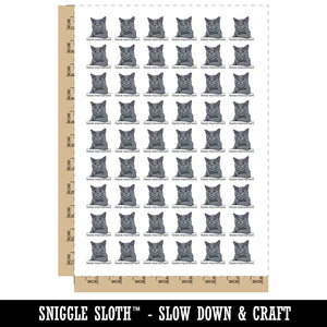 Needs Improvement Russian Blue Cat Condescending Unimpressed Temporary Tattoo Water Resistant Fake Body Art Set