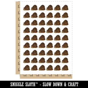 Shy Hiding Western Box Turtle Cartoon Temporary Tattoo Water Resistant Fake Body Art Set Collection (1 Sheet)