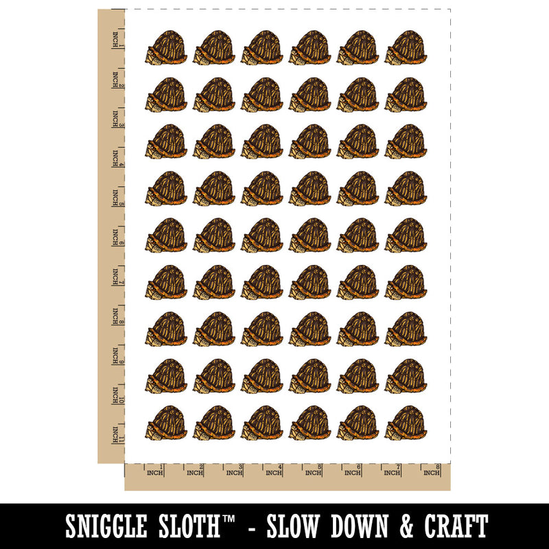 Shy Hiding Western Box Turtle Cartoon Temporary Tattoo Water Resistant Fake Body Art Set Collection (1 Sheet)