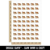 Tiger Mom Cub Cute Baby Cat Temporary Tattoo Water Resistant Fake Body Art Set Collection (1 Sheet)