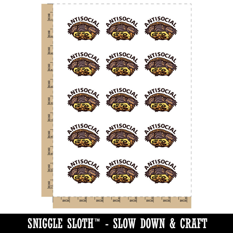 Antisocial Baby Turtle Introvert Temporary Tattoo Water Resistant Fake Body Art Set Collection (1 Sheet)