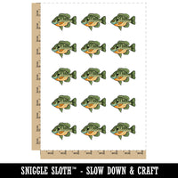 Bluegill Freshwater Fish Bream Copper Nose Temporary Tattoo Water Resistant Fake Body Art Set Collection (1 Sheet)