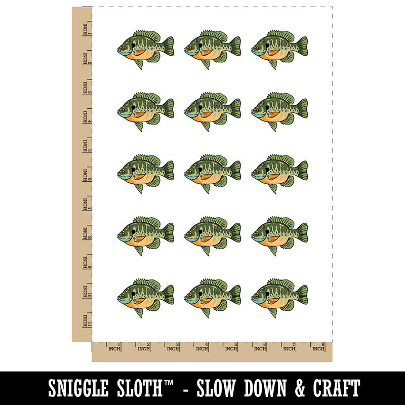 Bluegill Freshwater Fish Bream Copper Nose Temporary Tattoo Water Resistant Fake Body Art Set Collection (1 Sheet)