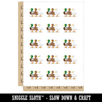 Ducks In A Row Funny Birds Temporary Tattoo Water Resistant Fake Body Art Set Collection (1 Sheet)