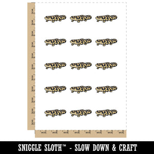 Jolly Western Tiger Salamander Amphibian Temporary Tattoo Water Resistant Fake Body Art Set Collection (1 Sheet)
