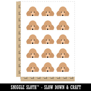 Peeking Cream Poodle Dog Temporary Tattoo Water Resistant Fake Body Art Set Collection (1 Sheet)