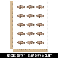 Realisitc Grouper Spotted Fish Temporary Tattoo Water Resistant Fake Body Art Set Collection (1 Sheet)