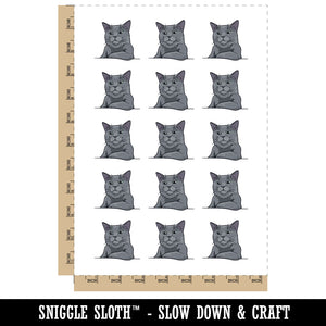 Russian Blue Cat Condescending Unimpressed Look Temporary Tattoo Water Resistant Fake Body Art Set Collection (1 Sheet)