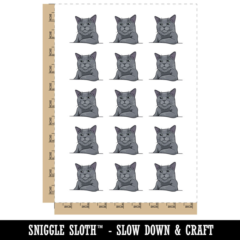 Russian Blue Cat Condescending Unimpressed Look Temporary Tattoo Water Resistant Fake Body Art Set Collection (1 Sheet)
