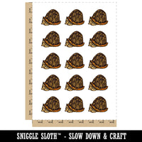 Shy Hiding Western Box Turtle Cartoon Temporary Tattoo Water Resistant Fake Body Art Set Collection (1 Sheet)