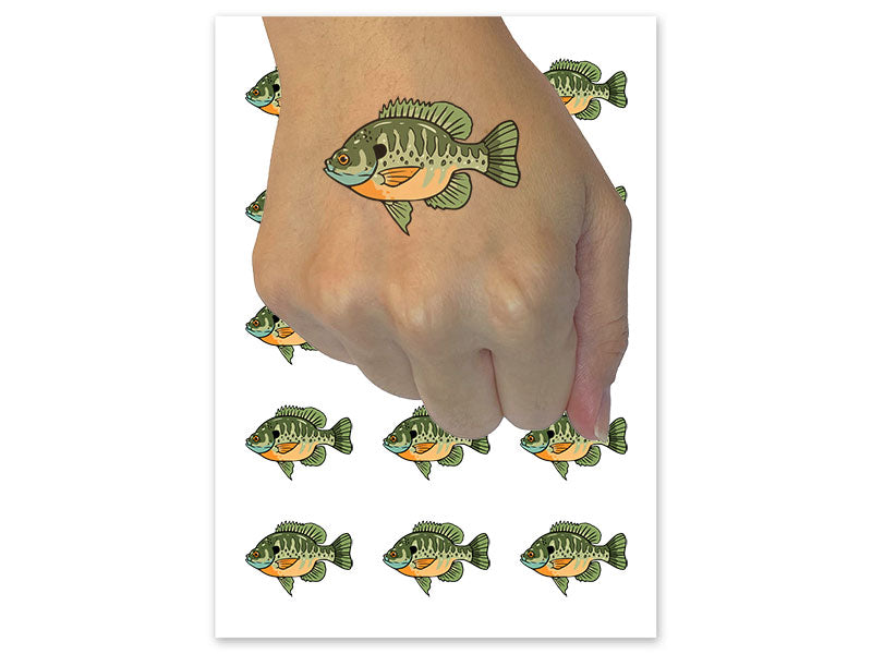 Bluegill Freshwater Fish Bream Copper Nose Temporary Tattoo Water Resistant Fake Body Art Set Collection (1 Sheet)