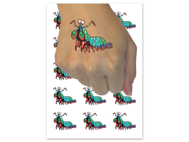 Colorful Peacock Mantis Shrimp Rainbow Temporary Tattoo Water Resistant Fake Body Art Set Collection (1 Sheet)
