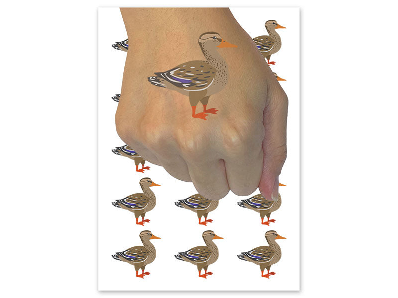 Female Mallard Duck Bird Fowl Temporary Tattoo Water Resistant Fake Body Art Set Collection (1 Sheet)
