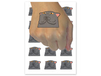 Mischievous Scheming Peeking Cat Temporary Tattoo Water Resistant Fake Body Art Set Collection (1 Sheet)