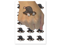 Mole Digging Mammal Popping Out of Hole Temporary Tattoo Water Resistant Fake Body Art Set Collection (1 Sheet)