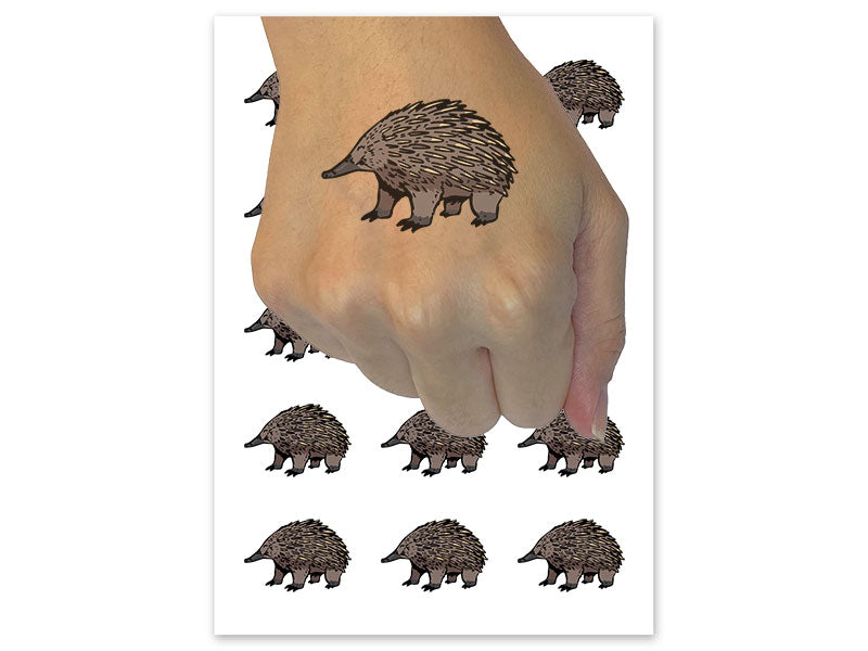 Realistic Echidna Spiny Anteater Temporary Tattoo Water Resistant Fake Body Art Set Collection (1 Sheet)