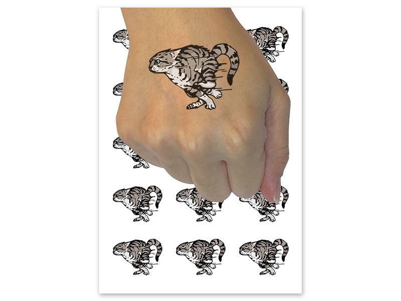 Realistic Running Kitten Cat Zoomies Sprinting Fast Temporary Tattoo Water Resistant Fake Body Art Set Collection