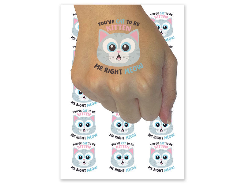 You've Cat To Be Kitten Me Right Meow Temporary Tattoo Water Resistant Fake Body Art Set Collection (1 Sheet)