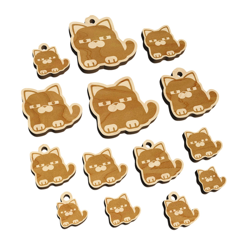 Round Cat Skeptical Mini Wood Shape Charms Jewelry DIY Craft