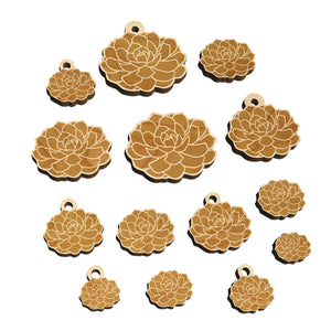 Echeveria Elegans Succulent Plant Mexican Snow Ball Mini Wood Shape Charms Jewelry DIY Craft