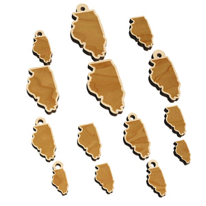 Illinois State Silhouette Mini Wood Shape Charms Jewelry DIY Craft