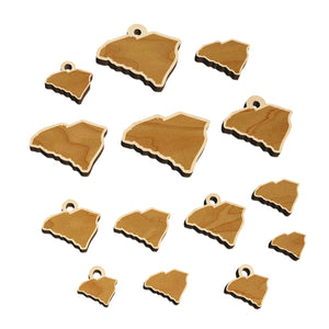 South Carolina State Silhouette Mini Wood Shape Charms Jewelry DIY Craft