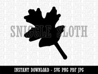 Oak Leaf Solid Clipart Digital Download SVG PNG JPG PDF Cut Files