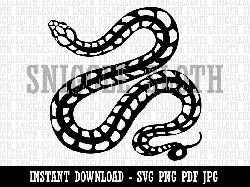 Winding Striped Snake Clipart Digital Download SVG PNG JPG PDF Cut Files