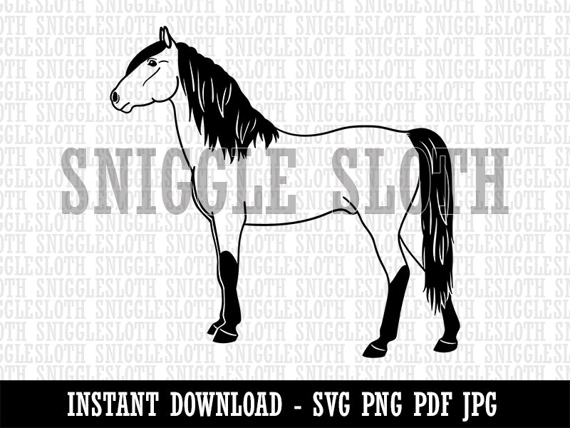 Stout Criollo Horse Clipart Digital Download SVG PNG JPG PDF Cut Files