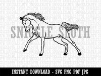 Wild Arabian Horse Clipart Digital Download SVG PNG JPG PDF Cut Files