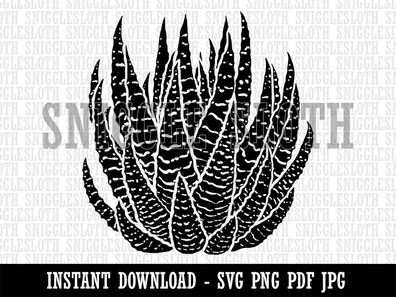 Zebra Haworthia Succulent Plant Clipart Digital Download SVG PNG JPG PDF Cut Files