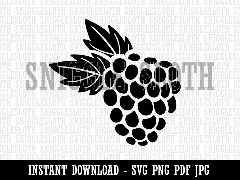 Raspberry Blackberry Fruit Clipart Digital Download SVG PNG JPG PDF Cut Files