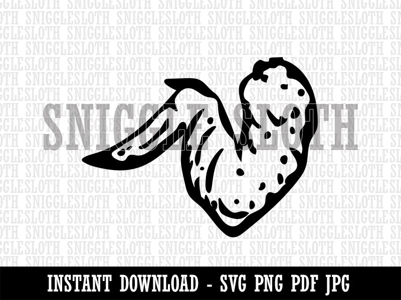 Delicious Chicken Wing with Drum and Flat Clipart Digital Download SVG PNG JPG PDF Cut Files