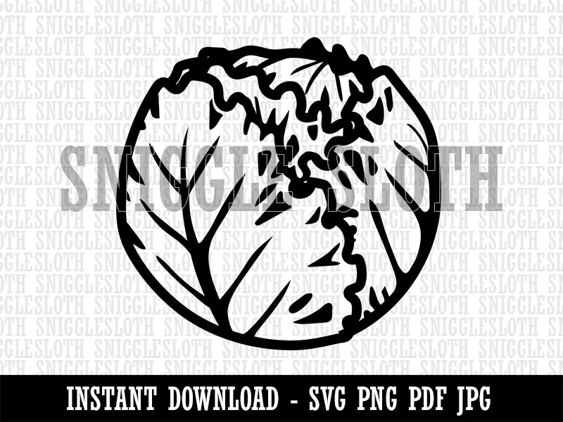 Iceberg Lettuce Vegetable Clipart Digital Download SVG PNG JPG PDF Cut Files