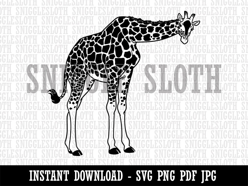 Curious African Giraffe Clipart Digital Download SVG PNG JPG PDF Cut Files