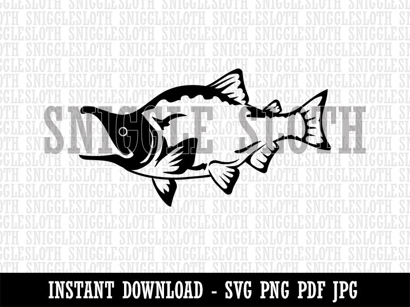 Sockeye Salmon Fish Clipart Digital Download SVG PNG JPG PDF Cut Files