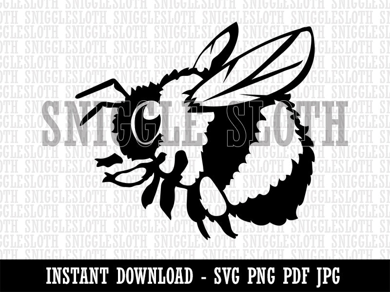 Cute Chubby Bumblebee Bee Insect Clipart Digital Download SVG PNG JPG PDF Cut Files