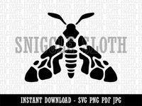 Artsy Detailed Moth Spring Summer Nature Lamp Clipart Digital Download SVG PNG JPG PDF Cut Files