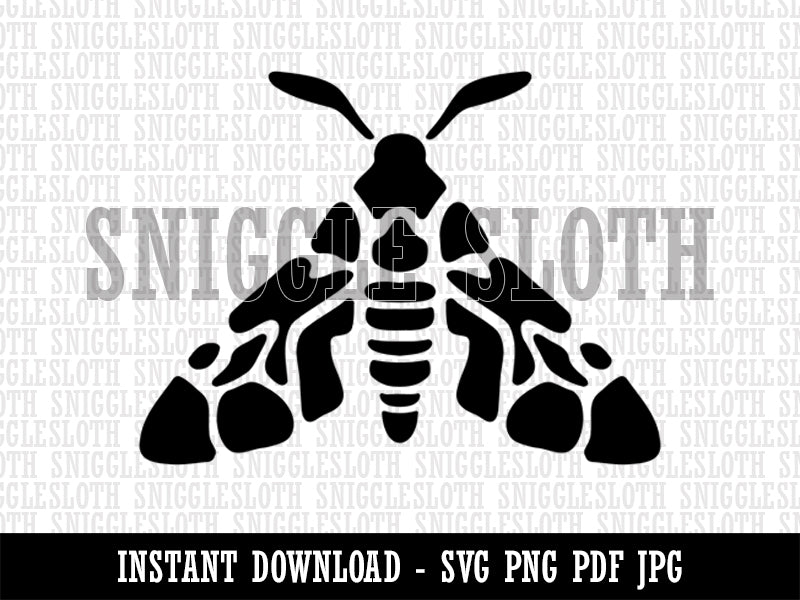 Artsy Detailed Moth Spring Summer Nature Lamp Clipart Digital Download SVG PNG JPG PDF Cut Files