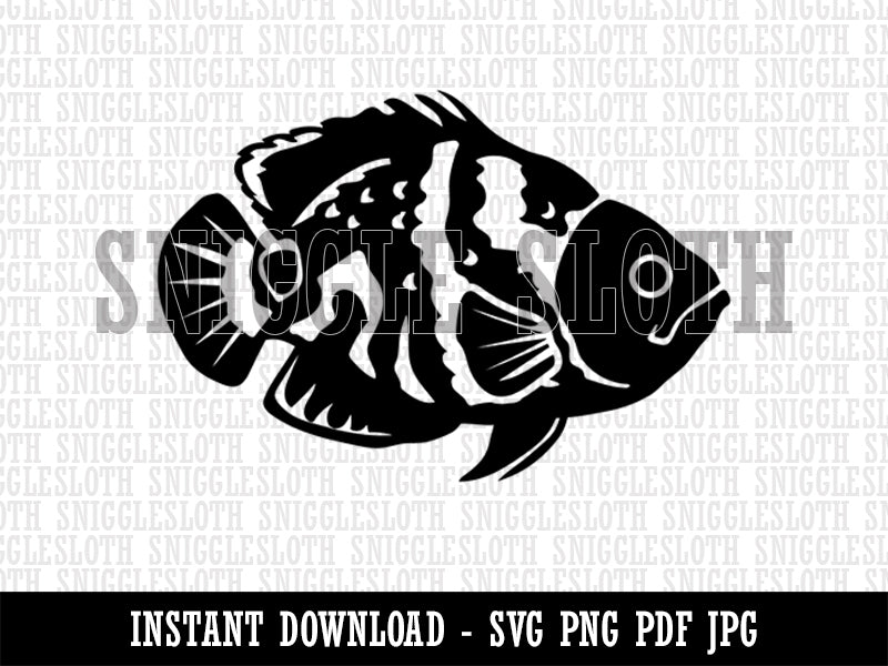 Tiger Oscar Cichlid Fish Clipart Digital Download SVG PNG JPG PDF Cut Files