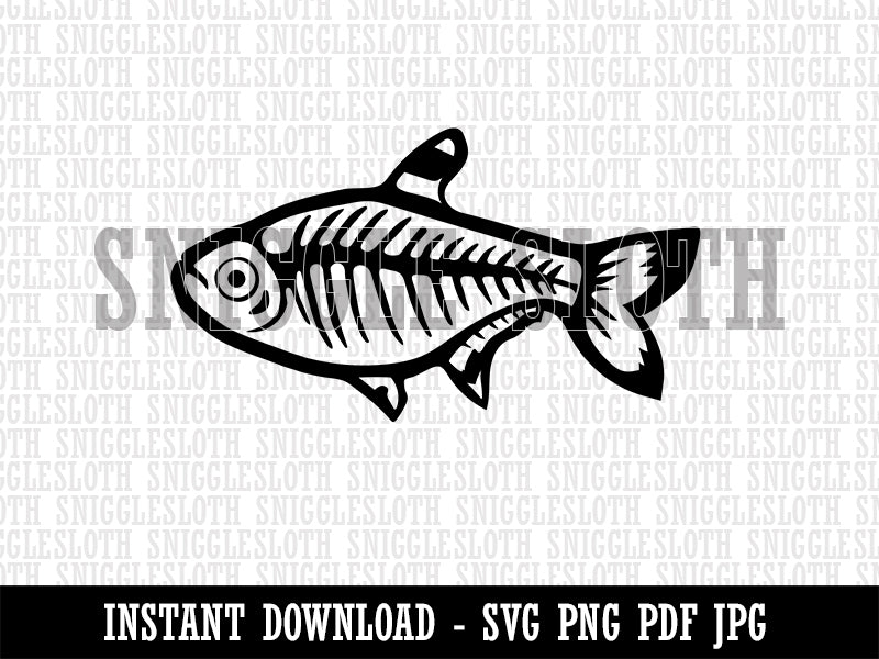 X-Ray Tetra Skeleton Fish Clipart Digital Download SVG PNG JPG PDF Cut Files