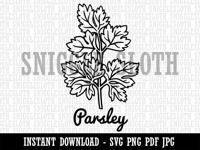 Parsley Herb Label Plant Clipart Digital Download SVG PNG JPG PDF Cut Files