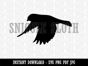 Finch Flying Bird Clipart Digital Download SVG PNG JPG PDF Cut Files