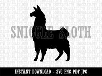 Proud Wooly Llama Standing Silhouette Clipart Digital Download SVG PNG JPG PDF Cut Files